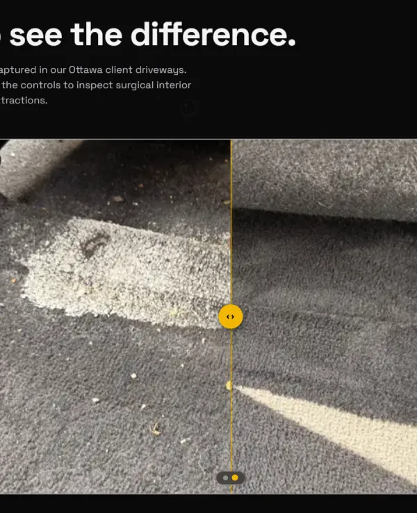 ZK Auto Detailing mobile paint restoration comparison and customer review flow